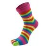 Calcetines de Cinco Dedos para Mujer, Calcetines de Algodón de Caña Media, Para Todas las Estaciones, Venta al por Mayor de Fábrica, Absorbentes de Sudor, Antideslizantes, de Cinco Dedos, Calcetines de Dedo Partido Personalizados Transfronterizos