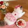 Saia de Gaze para Pet Vestido Fino de Verão para Cães Pequenos como Poodle, Teddy, Bichon, Yorkshire Terrier, e Gatos