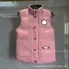 Chaqueta de Plumas de Ganso Transfronteriza con Cuello Alto para Hombres y Mujeres, Chaleco Clásico 08, Chaqueta Cálida para Exteriores para Primavera, Otoño e Invierno