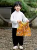 Conjunto de Hanfu de Otoño para Niños, Nuevo Estilo Chino para Niños, Disfraz de Otoño para Actuaciones, Chaleco Estilo Chino Tang Suit para Niños, Conjunto de Tres Piezas