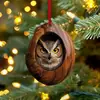 Decoraciones Navideñas de Mapache Nuevo Transfronterizas Árbol de Navidad Búho Creativo Navideño Acrílico Animales Planos Decoraciones