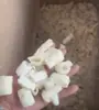 [Selección Premium] Directo del fabricante: Hongos de bambú Guitian de tallo largo, secos y vendidos a granel, 500g al por mayor. Hongos de bambú sin azufre y con tallo grueso