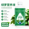 Planta de Rabanete Verde Nova Solução Nutritiva de Crescimento Solução Nutritiva Fertilizante Flores de Escritório Rabanete Verde