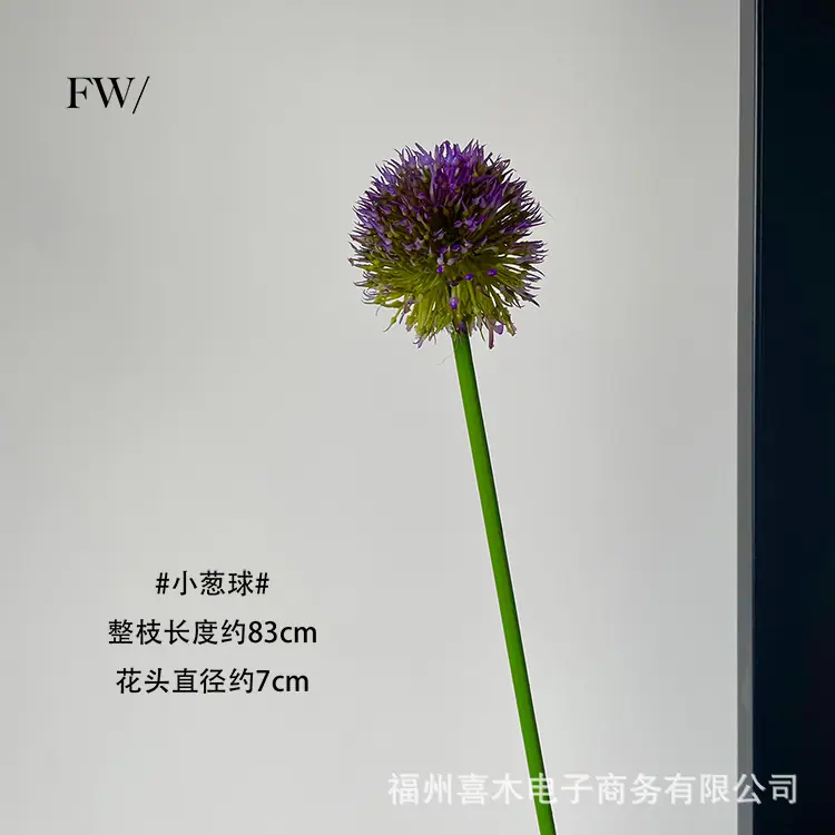 photo-output_1 拷贝.jpg