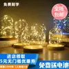 Tapa de Vidrio Luminosa Tapa Antipolvo Decoración DIY Adorno de Escritorio Flores Secas Flores Preservadas Cubierta de Vidrio Transparente Micro Paisaje