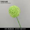 Decoración de Flores Artificiales Verdes Material de Flores de Hoja de Manzana Flor Exterior Planta Verde Hermoso Arreglo Chen Simulación de Hoja de Tortuga Arte Floral para Boda