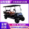 Suministro transfronterizo de carritos de golf, vehículos eléctricos turísticos para zonas escénicas, vehículos de patrulla de propiedad de fábrica, carritos de golf eléctricos
