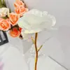 Presente de Dia dos Namorados Cor Dourada 24k Rosa Atividade de Empurrar Pequeno Presente Atacado Flor de Simulação Presente de Dia das Mães
