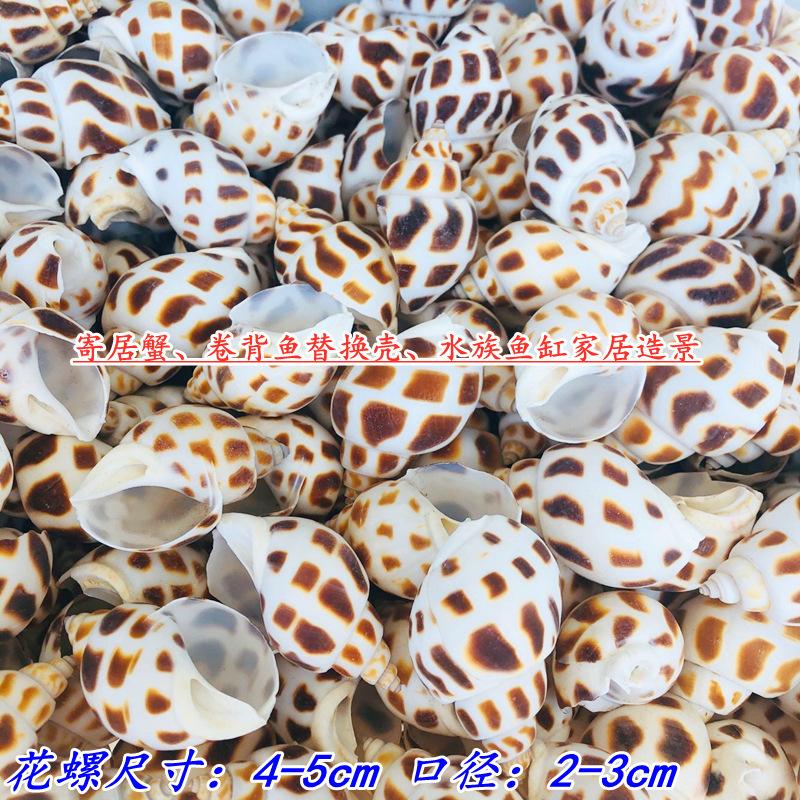 QQ图片20210907112305.jpg