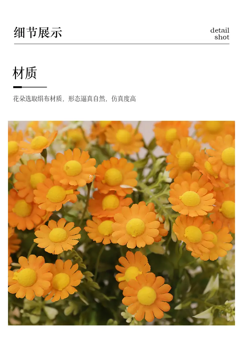 元霜春把束小雏菊_11.jpg
