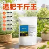 O adubo de cobertura Qianjinwang ajuda as culturas a crescerem fortes, promove o crescimento das raízes, o desenvolvimento das folhas, a floração abundante e a frutificação densa.. Fertilizante para mudas de base agrícola.