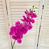Set de Boda de Phalaenopsis Francesa de 9 Cabezas de Película Impresa en 3D Decoración para el Hogar Flor Artificial Arreglo Floral para Hotel Flor Transfronteriza