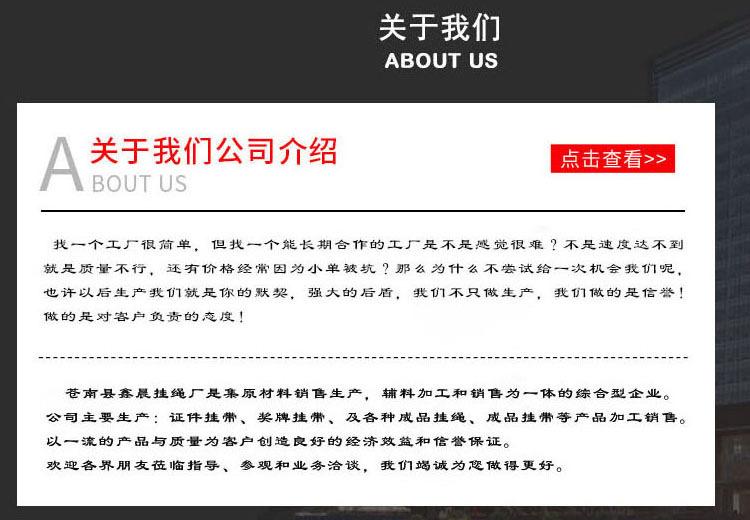 公司介绍A-副本