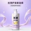 Fabricante Oem Personalizado Aminoácido Jengibre Control de Grasa Champú Cuidado del Cabello Champú Fórmula Herbal Calma del Cuero Cabelludo