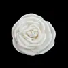 Procesamiento Personalizado de Varios Tipos de Flores Tongcaohua, Múltiples Diseños de Flores Adecuados para Aromaterapia/Decoración, Fabricante Directo de Flores Secas