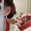Novos Brincos de Pérola em Forma de Gota com Cravação de Diamantes no Estilo Francês da Chadu com Design de Pendurar Atrás, Oferecendo uma Vibe de Luxo Leve e um Toque de Alto Padrão, Perfeitos para o Inverno