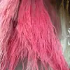 Hierba Barba de Dragón Eterna, Hierba de Junco, Flores Reales, Venta al por Mayor Fabricante de Yunnan, Serie Fuegos Artificiales de Ensueño, Materiales Florales para Cortinas de Boda, Decoración Suave
