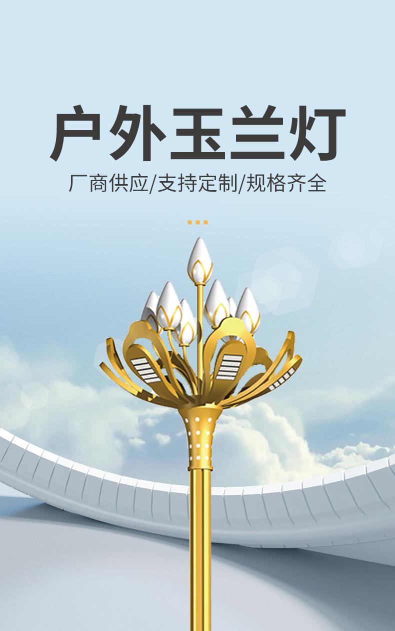 162fa6b5036561dc24dd656dd68a23