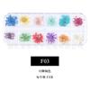 Nueva Uña Japonesa Flor Seca 12 Colores Estrella Girasol Margarita Pequeña 12 Colores Decoración de Flor Seca 24 Flores Secas para Uñas