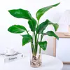 Planta Hidropônica Monstera Vaso Tronco Velho Monstera de Folha Grande Flor de Escritório Casa Nova Planta Verde Absorvedora de Formaldeído