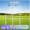 Los fabricantes de farolas integradas en la red producen farolas rurales LED de 6, 7 y 8 metros de alto.