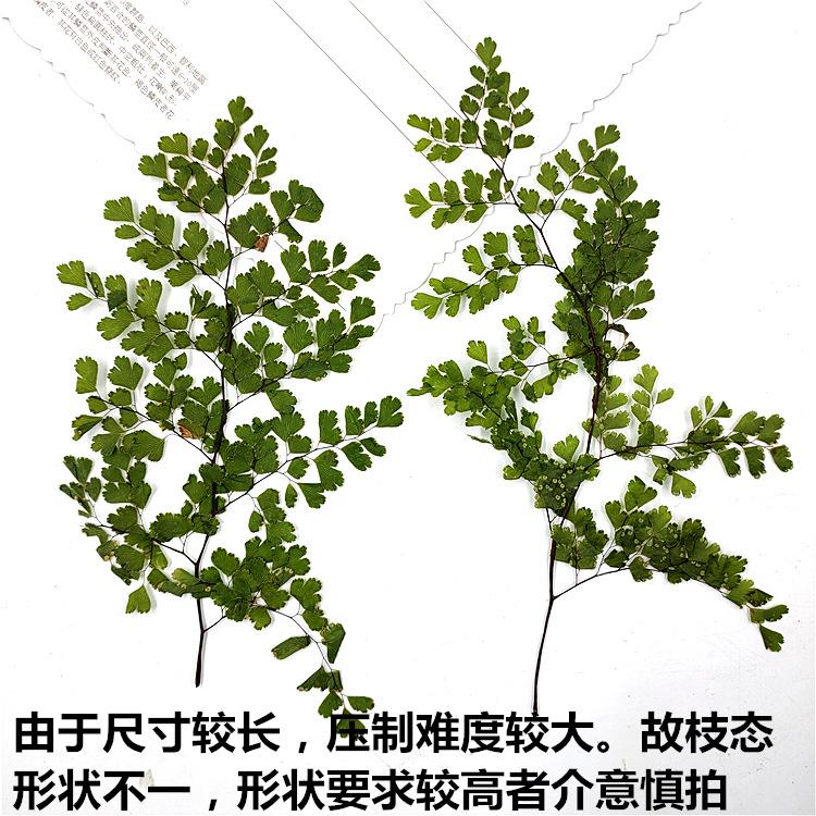 IMG20200306153420