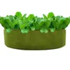 Cubeta de Fieltro para Plantar Transfronteriza, Nueva Bolsa Redonda para Plantar, Bolsa para Plántulas de Flores y Verduras, Bolsa de Crecimiento al por Mayor Chengyan