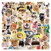 50 Lindos Stickers de Graffiti de Colección de Gatos y Perros para Botellas de Agua, Maletas, Cuadernos y Decoraciones de Teléfono al por Mayor