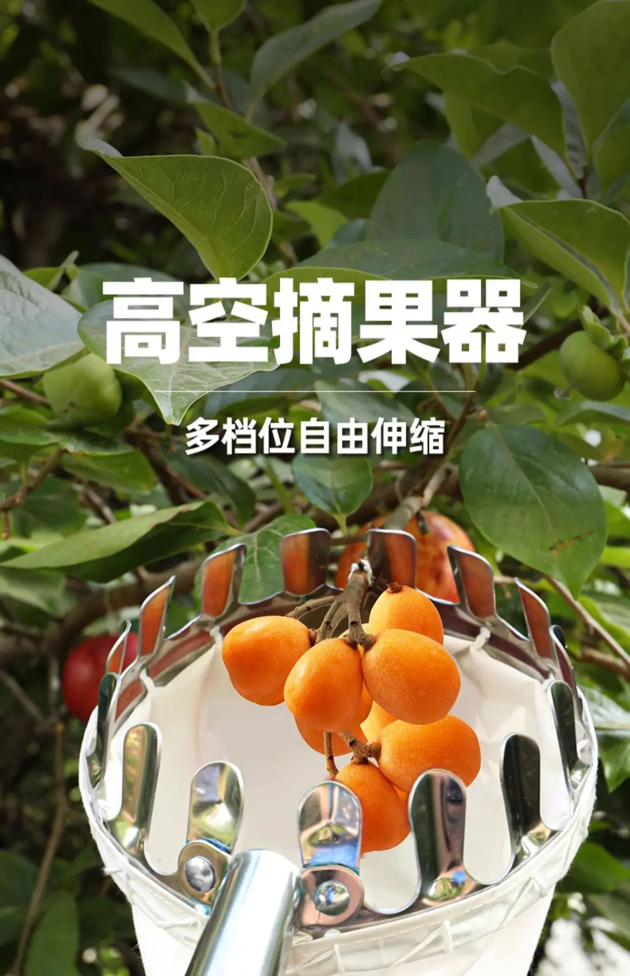 详情图片_1.jpg