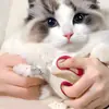 Tijeras para Gatos Anti-Rayaduras para Principiantes Tijeras para Uñas de Gato Mascota Cortauñas para Mascotas Gato Anti-Sangrado Adecuado para Uñas de Gato