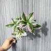 Plantas Artificiales, Lirios Artificiales, Bambú para Decoración del Hogar, Plantas Verdes Artificiales, Bonsái, Árboles Artificiales Falsos, Decoración Verde Artificial Estilo Bosque