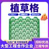 Rejilla para plantar césped flor boca plana rejilla de plástico estacionamiento tablero para plantar césped ladrillo verde material de alta calidad hdpe material geotécnico