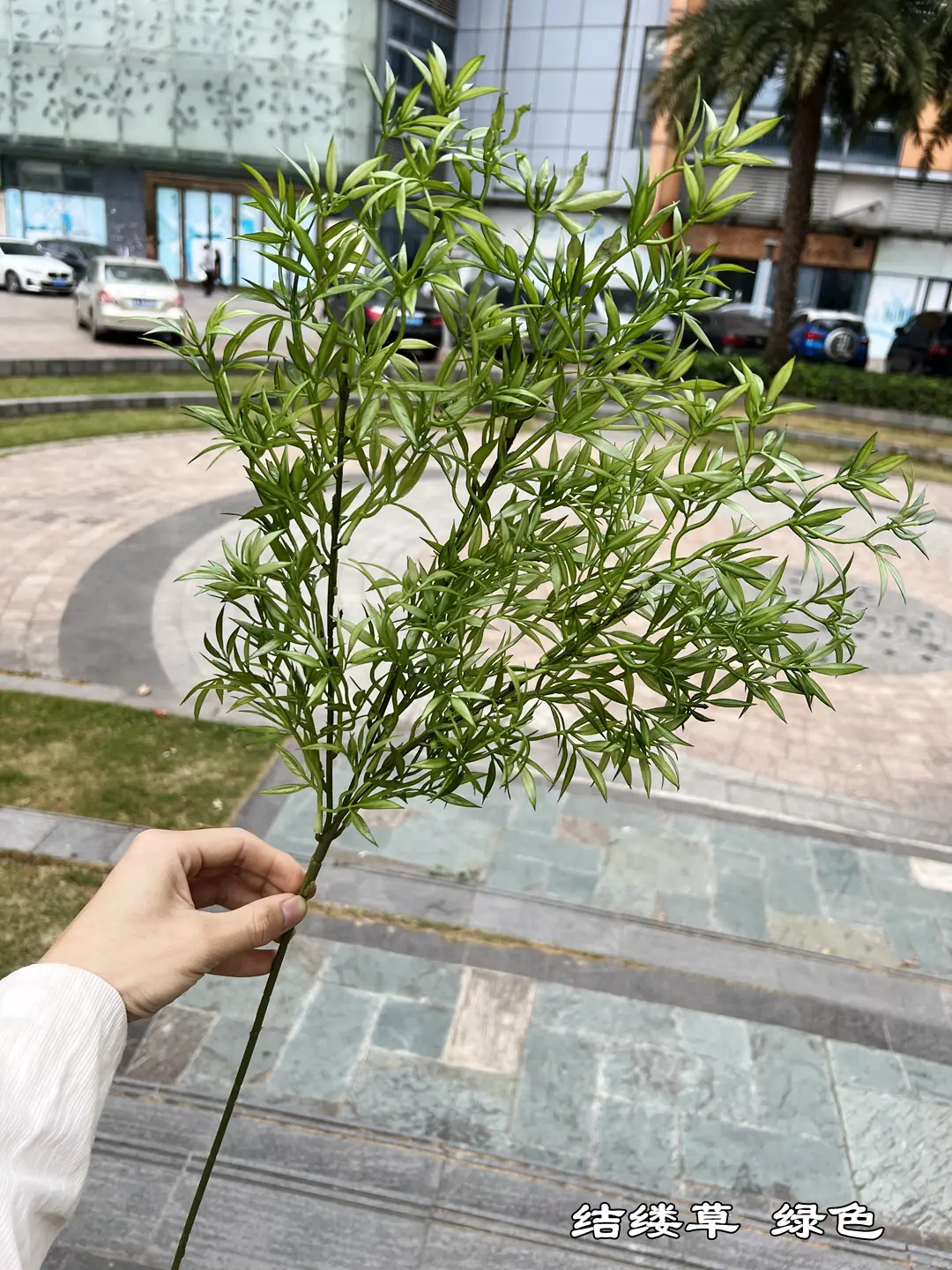 微信图片_20230323180003