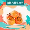 Caquis Cristal de Fuego de Shaanxi, al por mayor piezas de 2/3-4/ 2-2.5kg, caja de regalo en cartón colorido, caja completa, jugosos, crujientes, dulces, fruta fresca