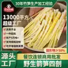Jishidao 300g Brotes de Bambú para Flecha, Brotes de Bambú Cuadrados Cortados en Cuatro, Brotes de Bambú de Primavera, Brotes de Bambú Tiernos, Ingredientes para Brochetas de Hot Pot, Venta al por Mayor para Restaurantes