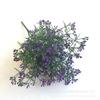 Artesanía de plantas directo de fábrica manojos de flor estrella de 7 puntas multicolor decoración de interior plantas verdes de simulación y plantas acuáticas