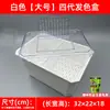 Caja de Cría para Tortugas para Coloración de Tortugas, Tanque de Aislamiento, Tablero de Sedimentación, Caja de Cría, Tanque Hogar para Crías de Tortuga