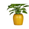 Estante para Flores Sala de Estar de Pie Multicapa de Hierro Nuevo para Interiores Maceta de Potos Estante para Colocar Plantas en Balcón