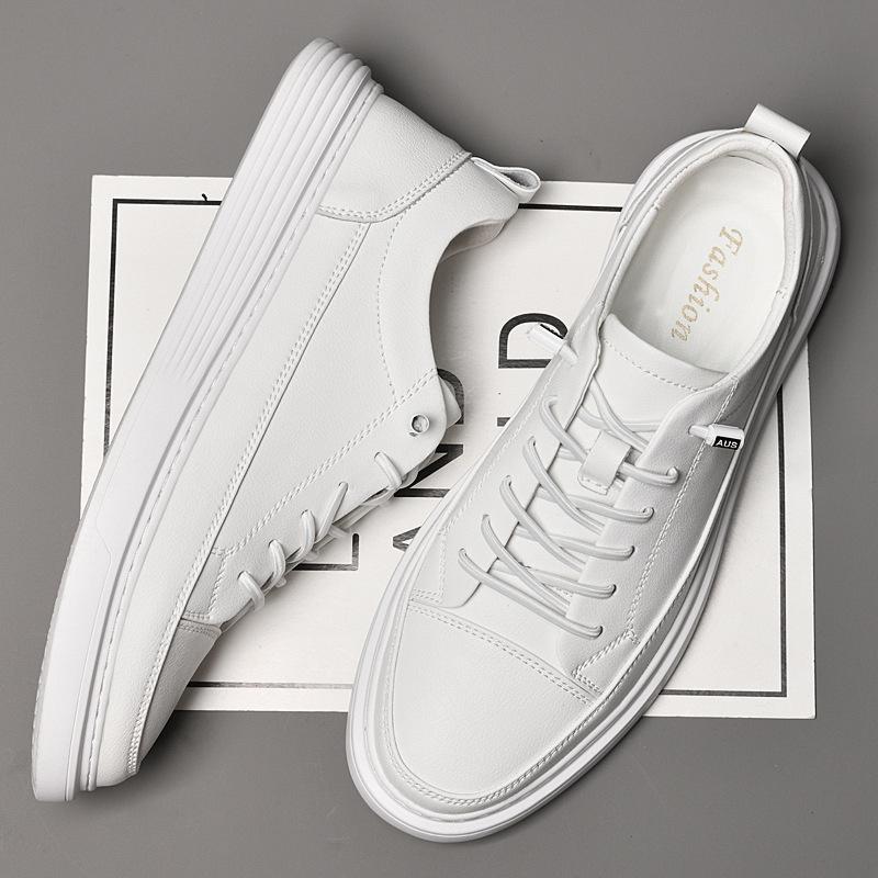 DSC_3646.jpg?x-oss-process=image/format,png