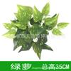 Teto de grama artificial porta placa de porta grama verde planta verde decoração planta de parede flores e plantas grama artificial de plástico parede