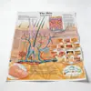 Pintura Sem Moldura de Órgãos Corporais da Amazon para Sala de Estar, Estudo, Academia, Impressão em Tela, Pintura Decorativa, Arte de Parede Pintada com Spray