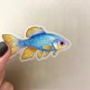50 pegatinas de PET de doble color permeable con diseño de pez, material decorativo para cuentas de mano, bricolaje, taza de agua, carcasa de teléfono móvil, decoración impermeable, collage