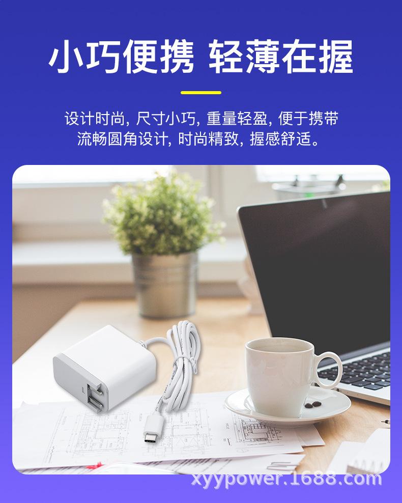 氮化镓PD65W可换头带线