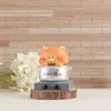 Meow Tuanzi's Work Life Figura Adorno Caja Sorpresa Dibujo Animado Resina Artesanía Muñeca Juguete de Moda Figura de Anime Suministrado Directamente de Fábrica