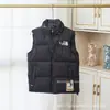 Chaleco Abrigador de Plumas Putian Beijia 1996 para Hombres y Mujeres, Versión Americana Tnf700 Acolchado Bordado de Invierno Moderno