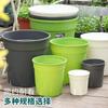 Vaso de Flores de Plástico Extra Grande e Alto, Vaso de Montanha Branco Verde Espesso, Controle de Raízes, Respirável, Vaso de Plantas Rosa Verde para Plantio, Atacado