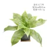 Plantas Verdes Artificiales, Manojo Individual de Hiedra Verde de 7 Ramas, Hojas de Monstera, Hojas Persas, Flores Falsas, Flores de Plástico Artificiales, Accesorios para Paredes de Plantas, Hojas