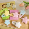 Pasador de Peluche de Estrella Colorida para Mujer Otoño e Invierno Niños Pinza Lateral para el Cabello 2025 Nuevo Pinza de Pato para Flequillo Accesorios para el Cabello