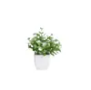 Plantas Verdes Artificiales en Maceta Transfronterizas Adornos de Escritorio para el Hogar Decoración de Bonsái Plástico Artificial Simulación Flor Decoración