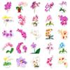 50 Calcomanías de Phalaenopsis Flor Dibujo Animado Planta Corazón de Niña Decoración Impermeable Cuaderno Libro Pegatinas de Tarjeta Goo